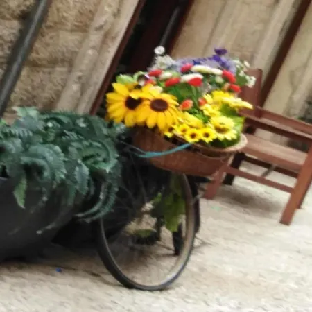 Sant'onofrio Μπάρι